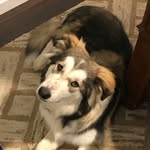 Todd Shores - @todd.shores - Instagram