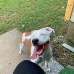 Todd Sinkinson - @sinkinsontodd - Instagram