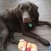 Todd Sissons - Facebook
