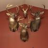 Todd Skaggs639 - @toddskaggs2 - TikTok