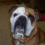Todd Skaggs - @skaggs.todd - Instagram