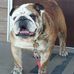 Todd Skaggs - Facebook