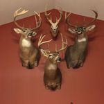Todd Skaggs - @skaggs5245 - Instagram