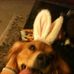Friends and Chewtoys of Todd Slack - Facebook