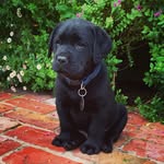 Todd Slater - @tjango1977 - Instagram