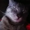 toddslater06 - @toddslater06 - TikTok