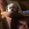 Todd Smith - @todd.smith62 - TikTok
