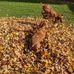 Todd Smythe - Facebook