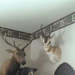 Todd Snell - @todd.snell - Instagram
