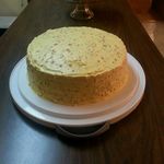 todd snell - @snodd_tell - Instagram