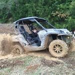 Todd Snelling - @toddsnelling - Instagram