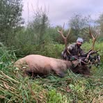 Todd Solomon - Facebook