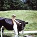 Todd Somers - Facebook