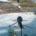 Todd Squire - @squire5246 - Instagram