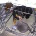 Todd Squires - Facebook