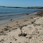 Todd Stachowicz - @toddstack - Instagram