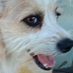 Todd stack - @brightelf94 - Instagram