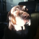 Todd Star - @wranglerhank69 - Instagram