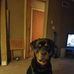 Todd Stark - Facebook