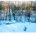 Tod Sreton - Facebook