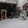 Todd Steadman725 - @toddsteadman2 - TikTok