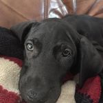 Todd Steger - @stegertodd - Instagram