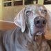 Todd Steger - Facebook