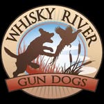 Todd Stelzer - @whiskyrivergundogs - Instagram