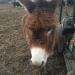 Todd Stephens - @todd.stephens1 - Instagram
