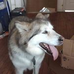 Todd Stephens - @todd.stephens.7564122 - Instagram