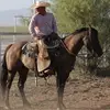 Todd Stewardson - @toddstewardson - TikTok