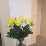 Judy Todd Stratton - @judytoddstratton - Instagram