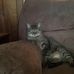 Todd Stratton - Facebook