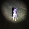 Todd Stratton - @toddstratton - TikTok
