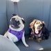Todd Stratton - Facebook