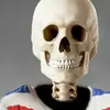 toddstrickert - @toddstrickert - TikTok