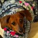 Todd Stubbs - Facebook