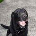 Todd Studebaker - Facebook
