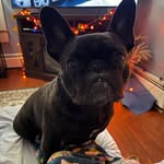 Todd & Pam Studer - @stdr4 - Instagram