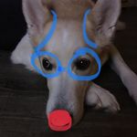 Todd Studer - @tstuds365 - Instagram