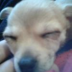 Todd Taco Studer - @toddtacost - Instagram