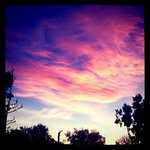 البرنسيسه - @toddsturm49 - Instagram