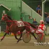 Todd Sutherland7747 - @eastcoaststable - TikTok