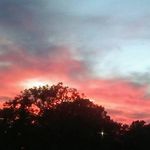 Todd Sweet - @justtoosweet88 - Instagram