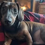 Todd Sweet - Facebook