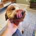 Todd Michael - Facebook
