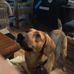 Todd Tetreault - Facebook