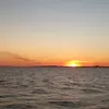 Todd Thiesen - @toddthiesen - TikTok
