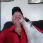 Todd Thomas - @toddthomas2 - Instagram