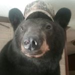 Todd Thomas - @todd.thomas.3705 - Instagram